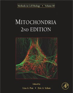 Cover Mitochondria (eBook, PDF)