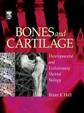 Bones and Cartilage (eBook, ePUB)