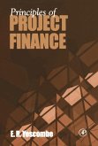 Principles of Project Finance (eBook, PDF)