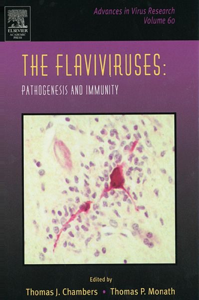 The Flaviviruses: Pathogenesis and Immunity (eBook, PDF) The Flaviviruses: Pathogenesis and Immunity (eBook, PDF)
