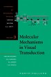 Molecular Mechanisms in Visual... - Bild 1