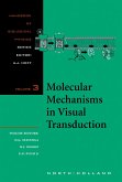 Molecular Mechanisms in Visual Transduction (eBook, PDF)