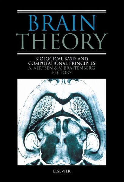 Brain Theory (eBook, PDF)