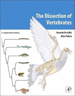 The Dissection of Vertebrates (eBook, PDF) - Iuliis, Gerardo De; Pulerà, Dino