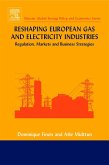 Reshaping European Gas and Electricity Industries (eBook, PDF)