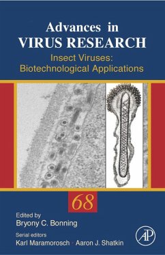 Cover Insect Viruses (eBook, ePUB)