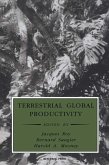 Terrestrial Global Productivity (eBook, PDF)