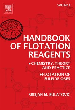 Handbook of Flotation Reagents: Chemistry, Theory and Practice (eBook, PDF) - Bulatovic, Srdjan M.