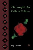 Drosophila Cells in Culture (eBook, PDF)