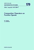 Composition Operators on Function Spaces (eBook, PDF)