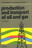 Production and transport of oil and gas (eBook, PDF)