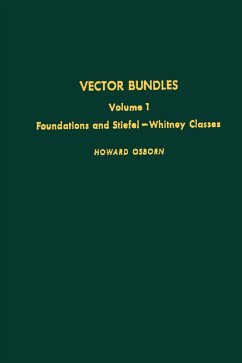 Cover Vector Bundles - Vol 1 (eBook, PDF)