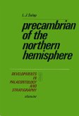 Precambrian of the Northern Hemisphere (eBook, PDF)