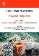 Coal and Peat Fires: A Global... - Bild 1