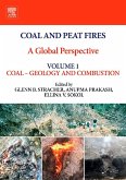 Coal and Peat Fires: A Global Perspective (eBook, ePUB)