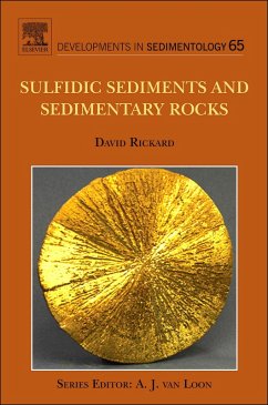 Sulfidic Sediments and Sedimentary Rocks (eBook, ePUB) - Rickard, David