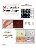 Molecular Neurology (eBook, ePUB)