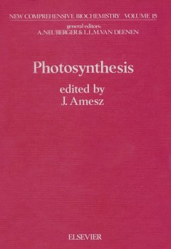 Cover Photosynthesis (eBook, PDF)