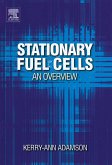 Stationary Fuel Cells: An Overview (eBook, PDF)