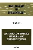 Clays and Clay Minerals in Natural and Synthetic Systems (eBook, PDF)