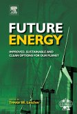 Future Energy (eBook, PDF)