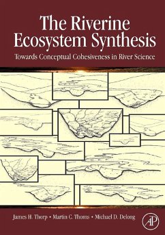 The Riverine Ecosystem Synthesis (eBook, ePUB) - Thorp, James H.; Thoms, Martin C.; Delong, Michael D.