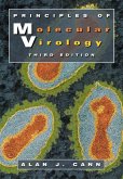 Principles of Molecular Virology (Standard Edition) (eBook, PDF) Principles of Molecular Virology (Standard Edition) (eBook, PDF)