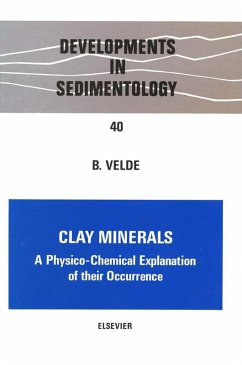 Clay Minerals (eBook, PDF) - Velde, B.