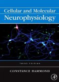 Cellular and Molecular Neurophysiology (eBook, PDF)