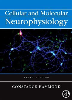 Cover Cellular and Molecular Neurophysiology (eBook, PDF)