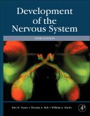 Development of the Nervous System (eBook, ePUB)
