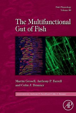 Fish Physiology: The Multifunctional Gut of Fish (eBook, PDF)
