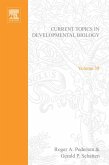 Current Topics in Developmental Biology (eBook, PDF)