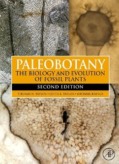 Paleobotany (eBook, ePUB) - Taylor, Edith L.; Taylor, Thomas N.; Krings, Michael