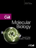 Molecular Biology (eBook, ePUB)