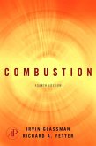 Combustion (eBook, ePUB)
