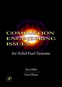 Combustion Engineering Issues for Solid Fuel Systems (eBook, PDF) - Miller, Bruce G.; Tillman, David