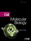 Molecular Biology (eBook, ePUB)