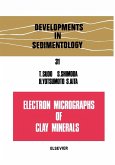 Electron micrographs of clay minerals (eBook, PDF)