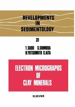 Cover Electron micrographs of clay minerals (eBook, PDF)