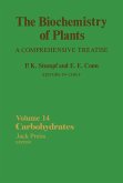 The Biochemistry of Plants (eBook, PDF)