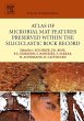 Atlas of Microbial Mat Features... - Bild 1