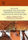 Atlas of Microbial Mat Features Preserved within the Siliciclastic Rock Record (eBook, ePUB)