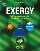 Exergy (eBook, ePUB)
