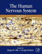 The Human Nervous System (eBook, ePUB) - Bild 1