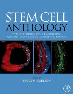 Cover Stem Cell Anthology (eBook, ePUB)