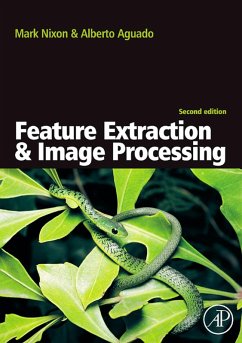 Feature Extraction & Image Processing (eBook, PDF) - Nixon, Mark