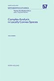 Complex Analysis in Locally Convex Spaces (eBook, PDF)