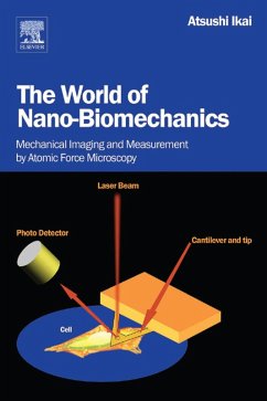 The World of Nano-Biomechanics (eBook, PDF) - Ikai, Atsushi