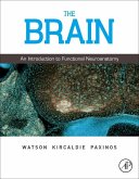 The Brain (eBook, ePUB)